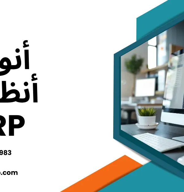 أنواع أنظمة ERP