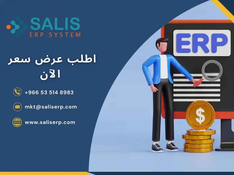 دور أنظمة ERP في البيع بالجملة