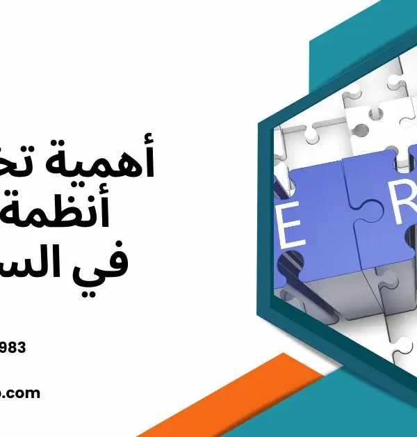 تخصيص أنظمة ERP